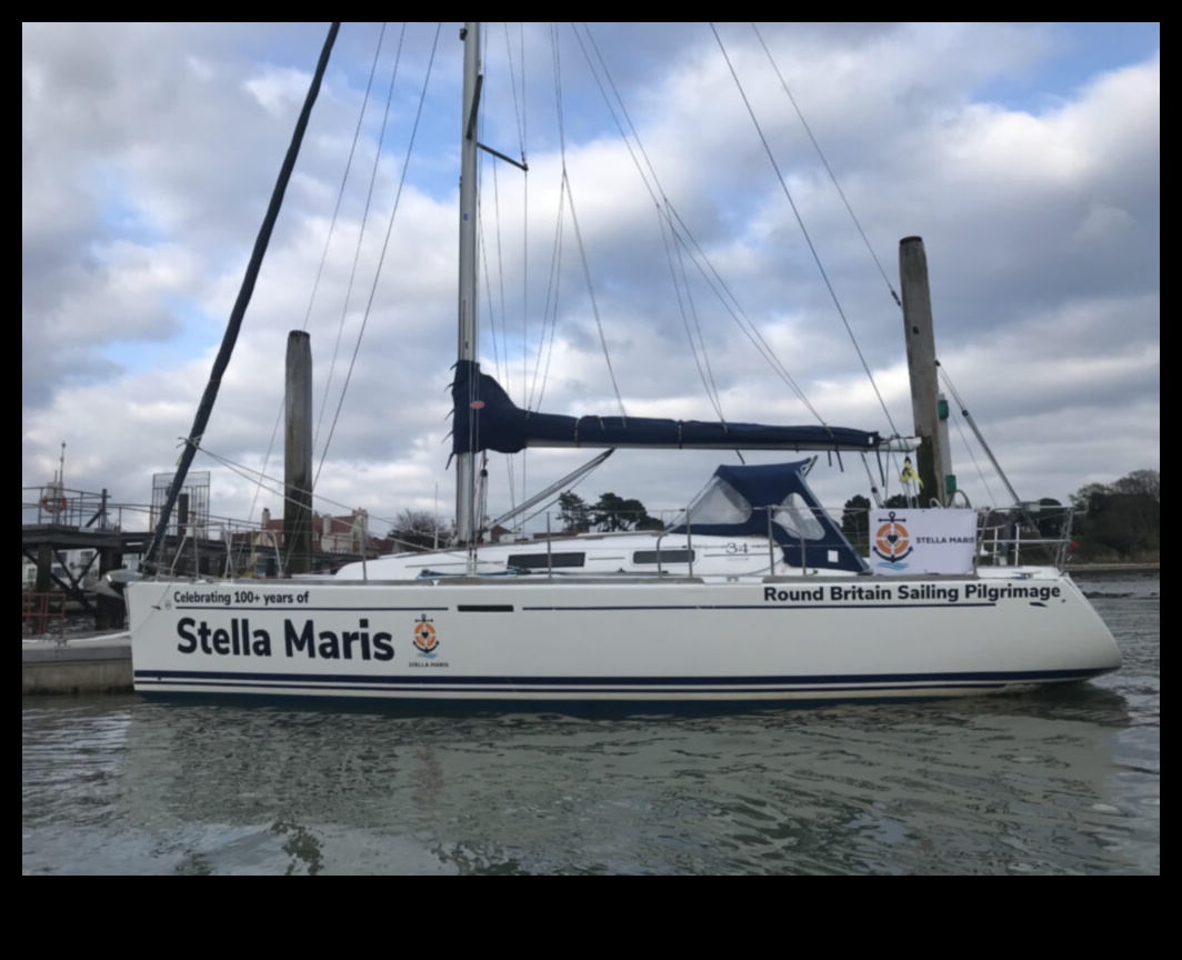 Pelerinaj stelar: explorarea minunilor spațiului interstelar