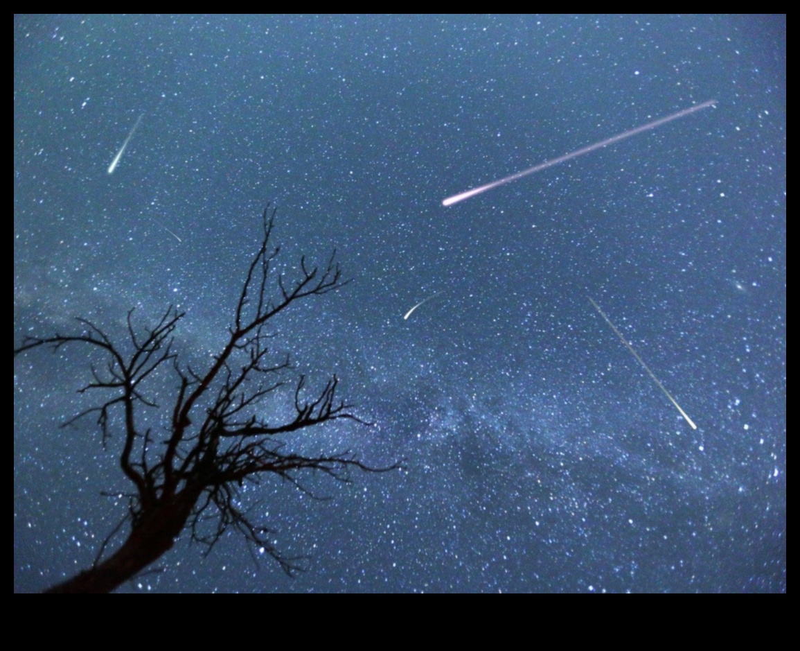 Furtuni de grindină cerească: Meteoroizi în prognoza meteo galactică