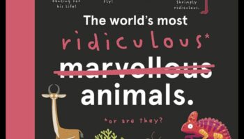 Capriciosul animalelor ciudate Papercraft: Crearea unor creaturi jucăușe